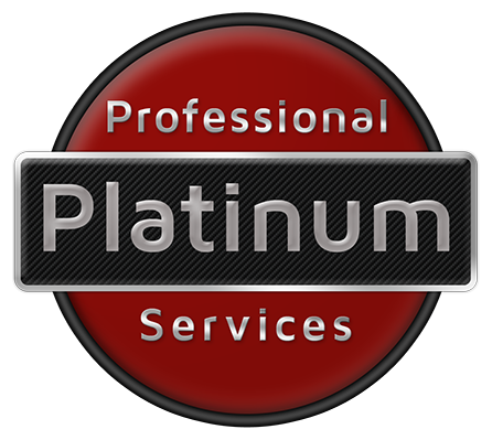 Platinum Professional Services Logo